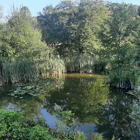 La Tiny De L'etang Lodge *