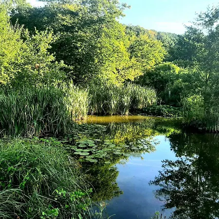 Lodge La Tiny De L'etang *